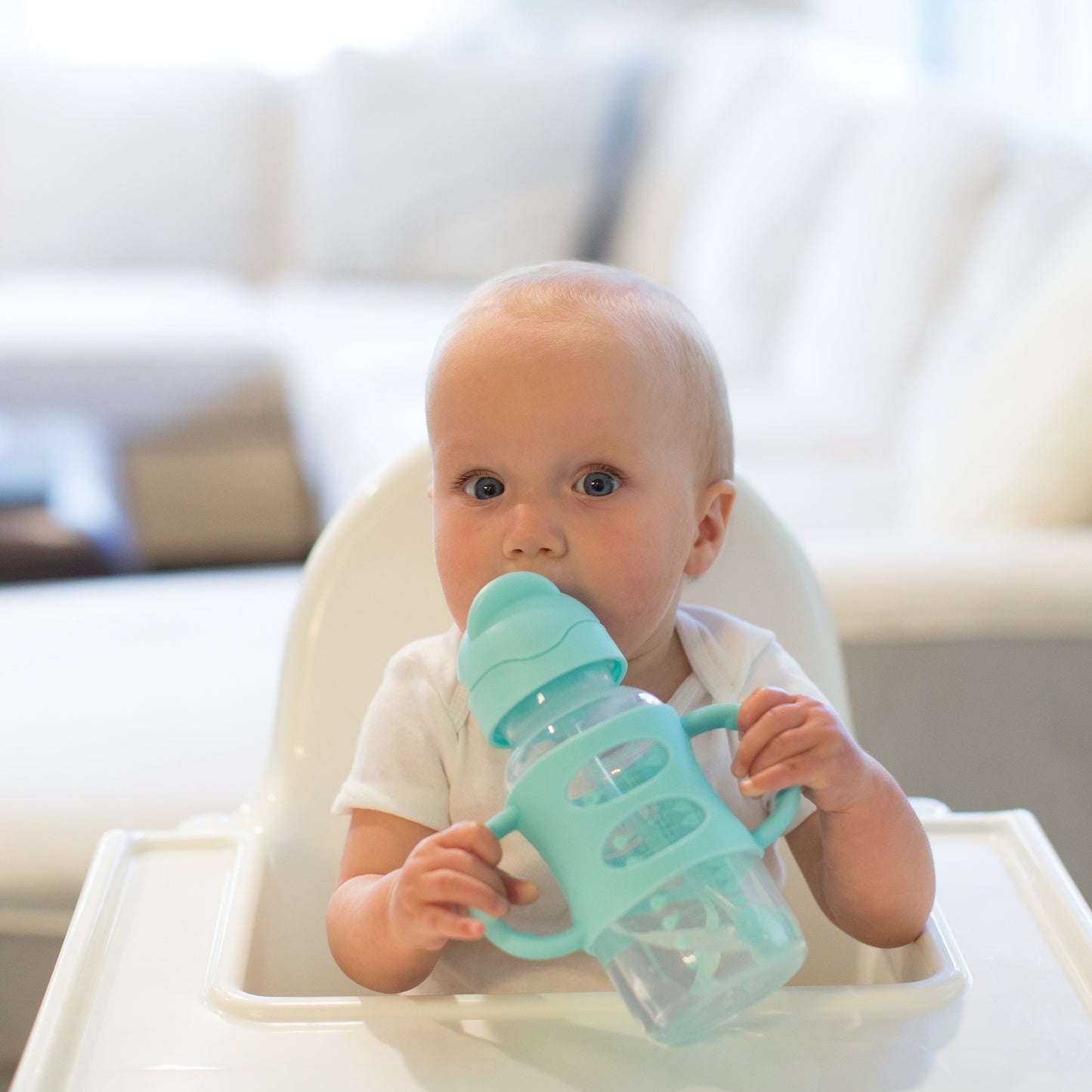 Dr. Brown's Milestones Wide-Neck Sippy Straw Bottle with Silicone Handles, 9 oz/270 mL